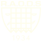 RAODS Logo